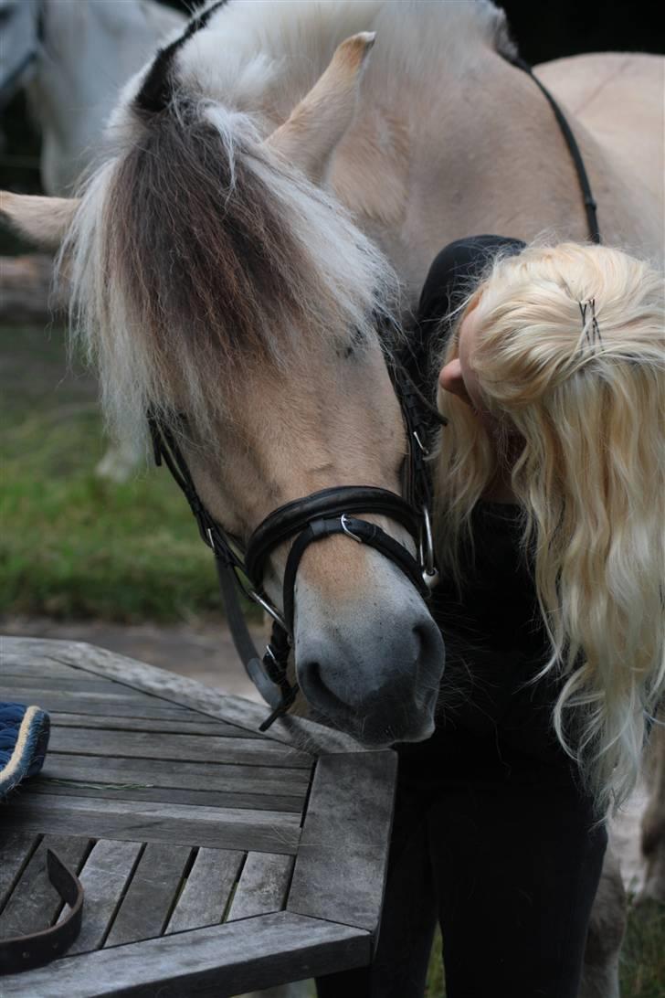 Fjordhest Bonto<3 R.I.P. - 6 # That´s real LOVE ! <3 Fotograf: Nadia Jørgensen billede 6