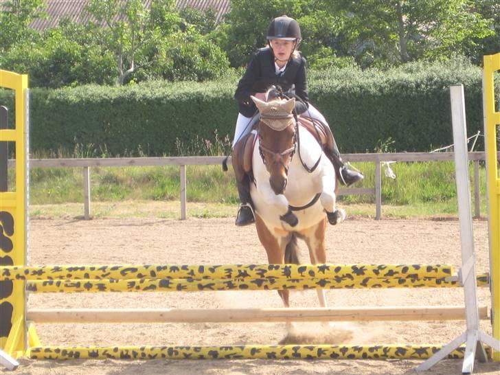 Anden særlig race Klokke Blomst  - klokke i gl.estrup :=) wii :D billede 13