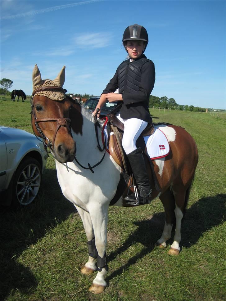 Anden særlig race Klokke Blomst  - fede klokski xD :D billede 14