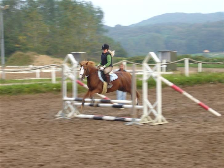 DSP sara *pension* billede 17