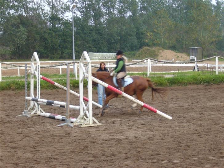 DSP sara *pension* billede 19