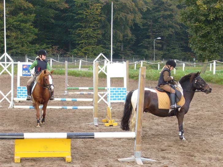 DSP sara *pension* billede 20