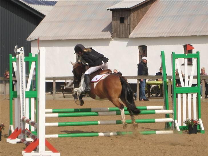 Anden særlig race Klokke Blomst  - klokkiiii xD billede 16