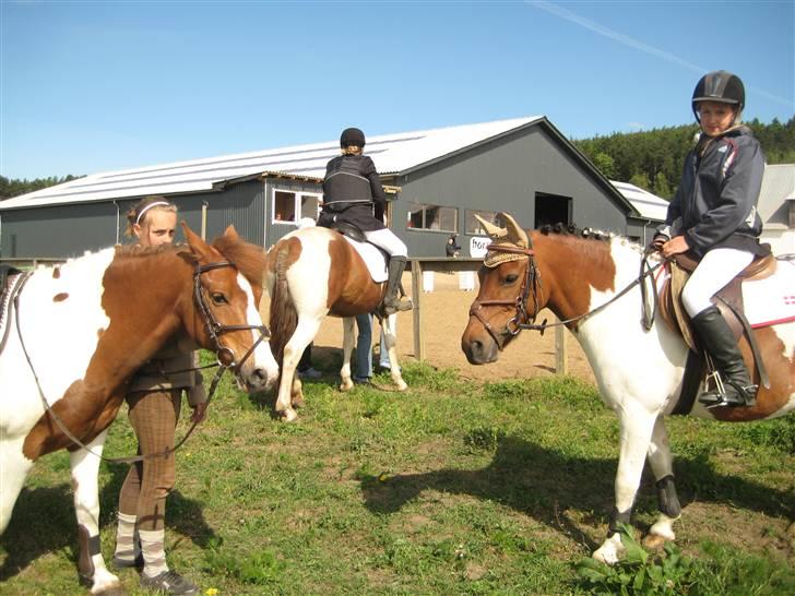 Anden særlig race Klokke Blomst  - COY OG KLOKSIII MY PONIES <3 billede 17