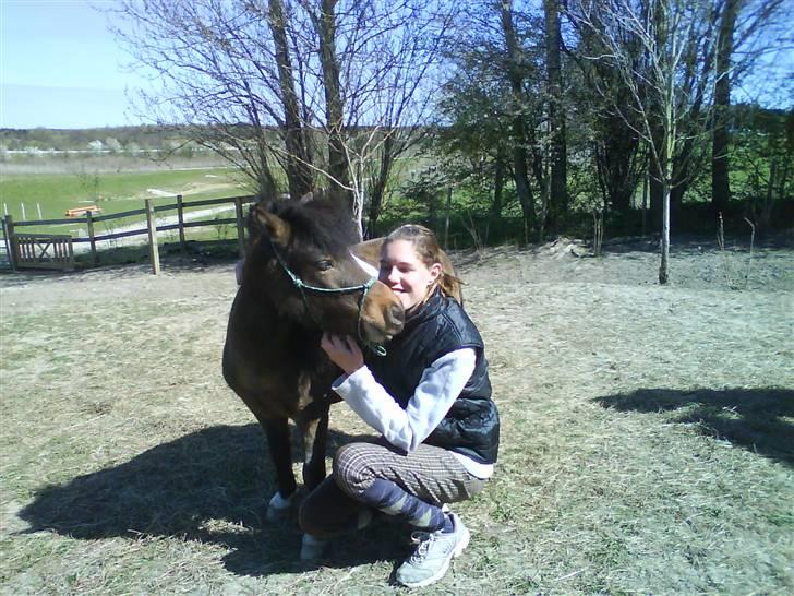 Miniature Diamond mm. billede 14