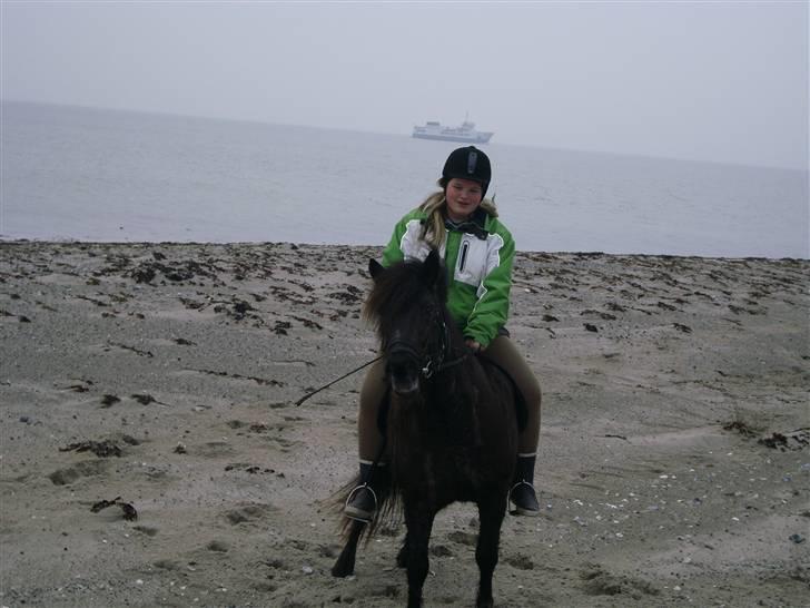 Islænder Fjóla - På stranden med færgen i bagrunden. (Taget af Lise G.) billede 1