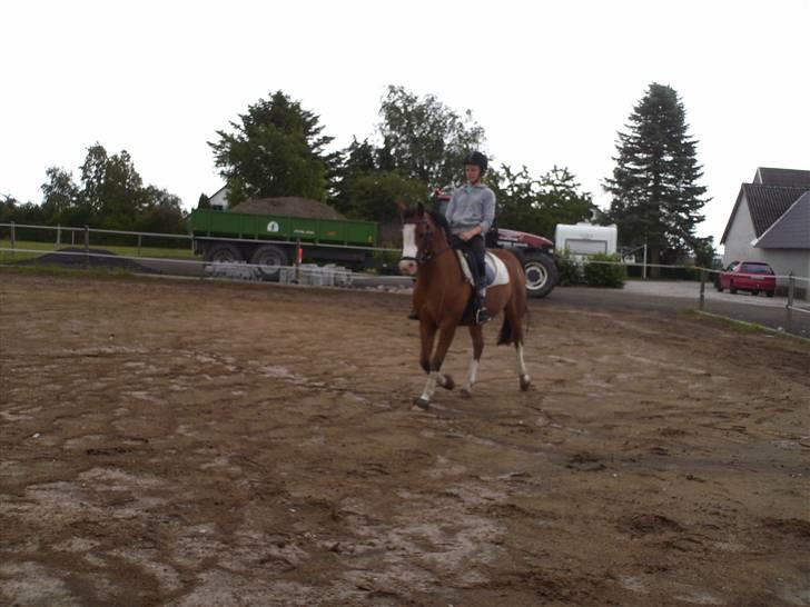 Anden særlig race Smukke billede 10