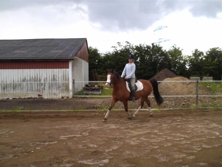 Anden særlig race Smukke billede 11