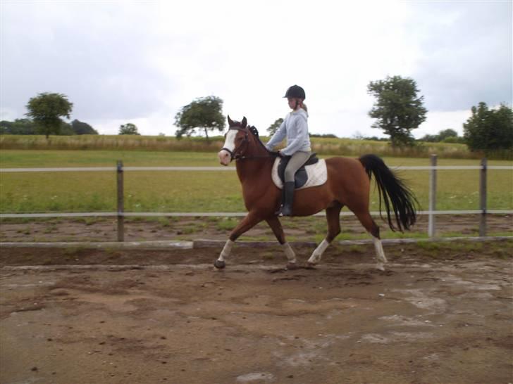 Anden særlig race Smukke billede 12