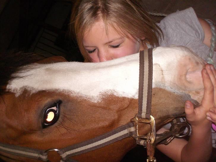 Anden særlig race Smukke billede 14