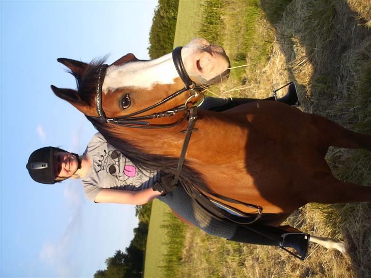 Anden særlig race Smukke billede 15