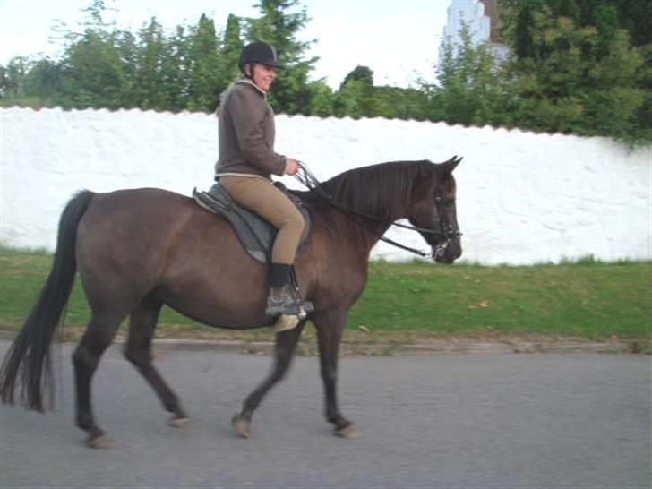 Anden særlig race Beauty R.I.P - Beauty og jeg på vej hjem billede 12