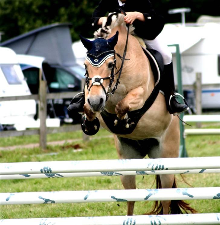 Fjordhest | Trine | solgt | - Trine & Jeg i Hammerum 2007. Jano-Foto.dk billede 3