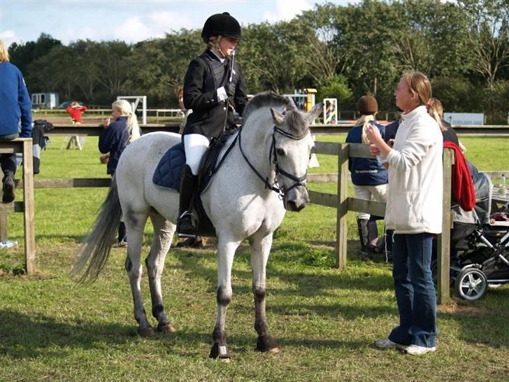 Anden særlig race PRIK. - Mor siger du skal og du skal :D Og Mille bider lidt i pisken og tænker ja ja selvfølge :D billede 12