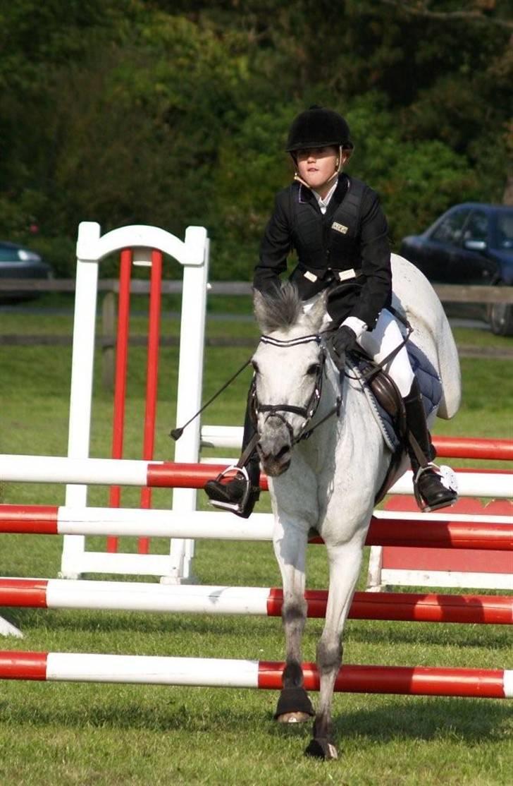 Anden særlig race PRIK. - Weehar :D billede 13