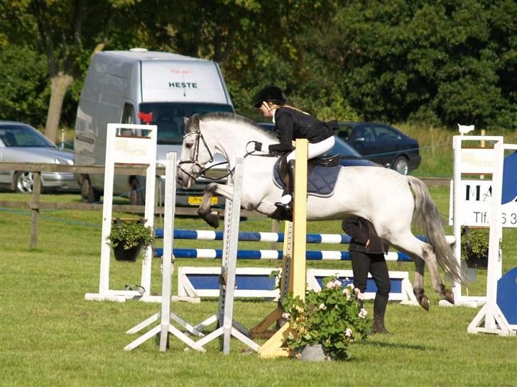 Anden særlig race PRIK. - Tribbelbar i DRK (; billede 14