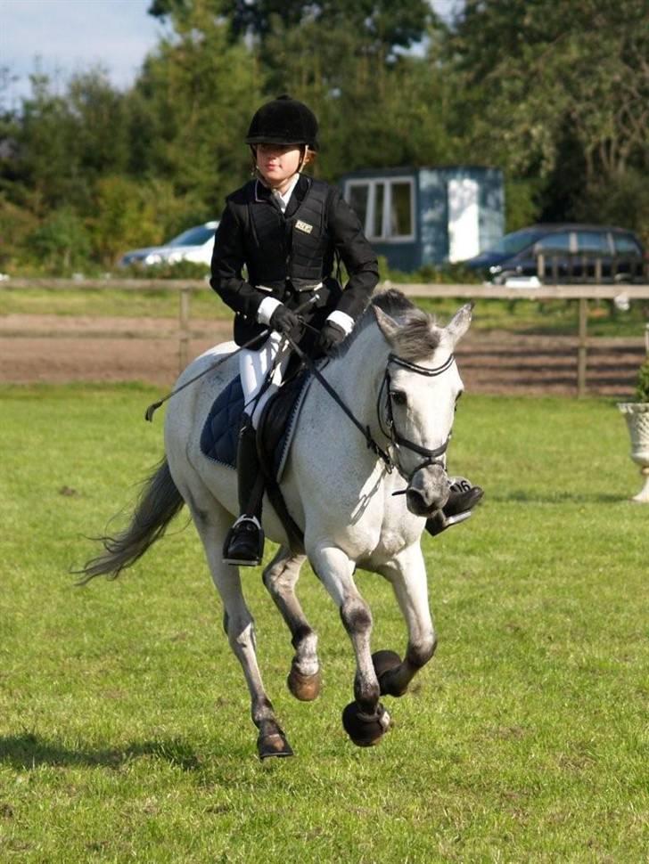 Anden særlig race PRIK. - Du&jeg - troede det ville være evigt. billede 15