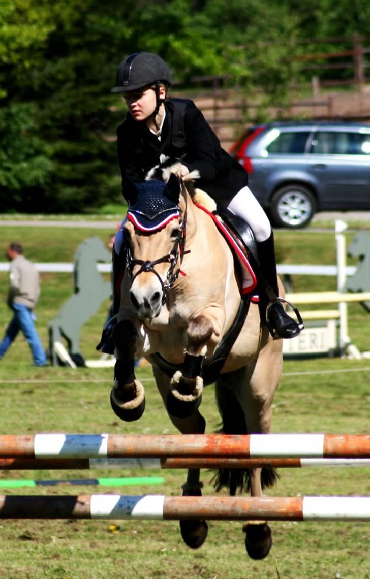 Fjordhest | Trine | solgt | - Trine og jeg på Morsø 2007 -foto: Jano-Foto.dk billede 17