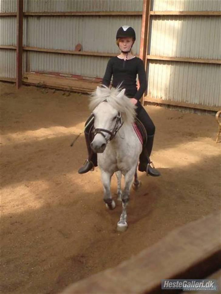 Anden særlig race Nunu - Hyp hyp billede 3