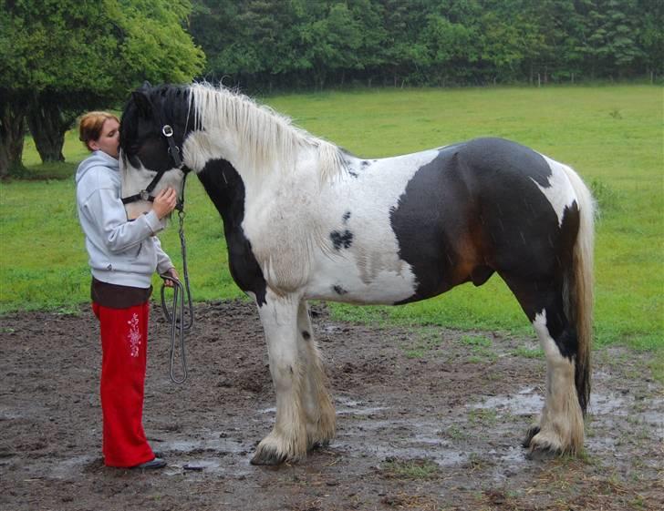 Tinker Samson *RIP* d. 21\8 09 - kærlighed <33 billede 11