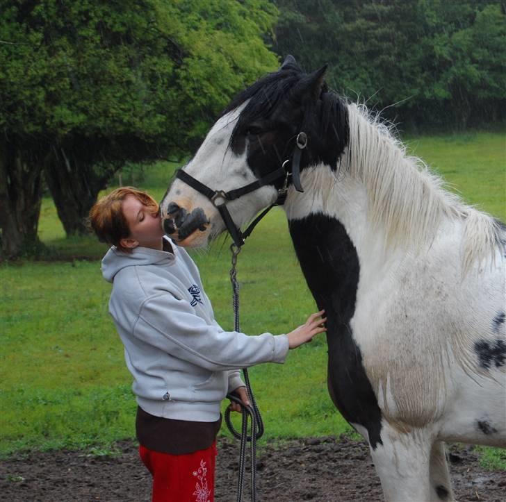 Tinker Samson *RIP* d. 21\8 09 - du ska liii ha et kys mor billede 14