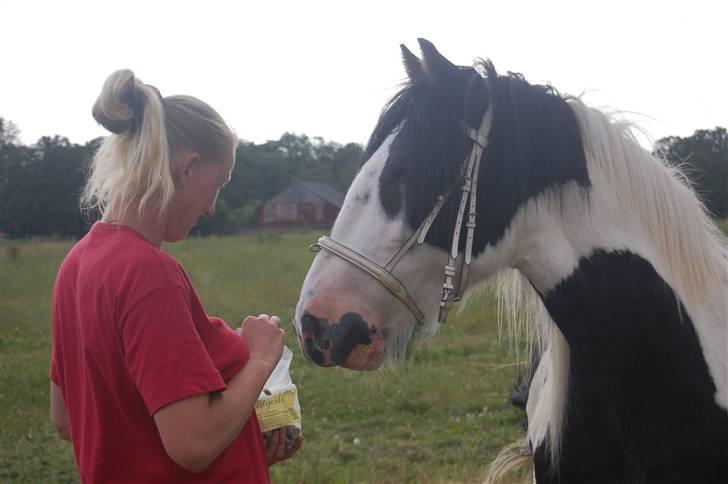 Tinker Samson *RIP* d. 21\8 09 - susanne og samson :) billede 18