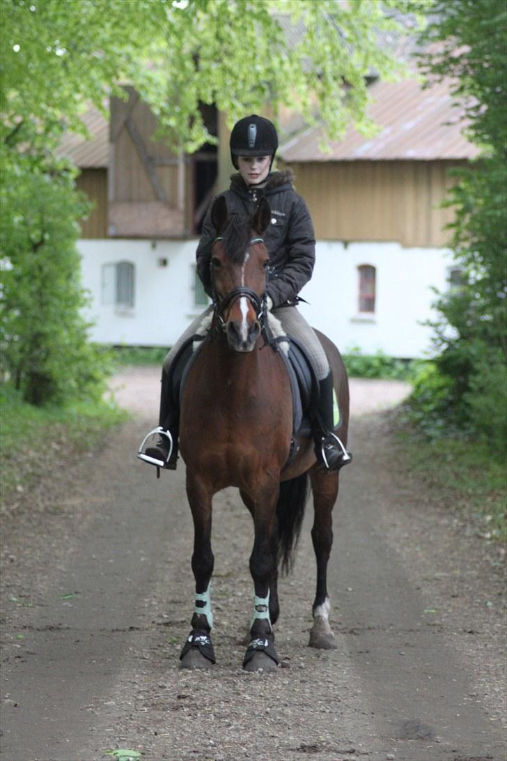 Anden særlig race Tatianna -drømmeponyen! - "Jeg elsker dig ikke fordi du er smuk, du er smuk fordi jeg elsker dig" billede 12