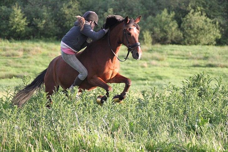 Anden særlig race Tatianna -drømmeponyen! - "Nogle ting er virkelig værd at kæmpe for." billede 19