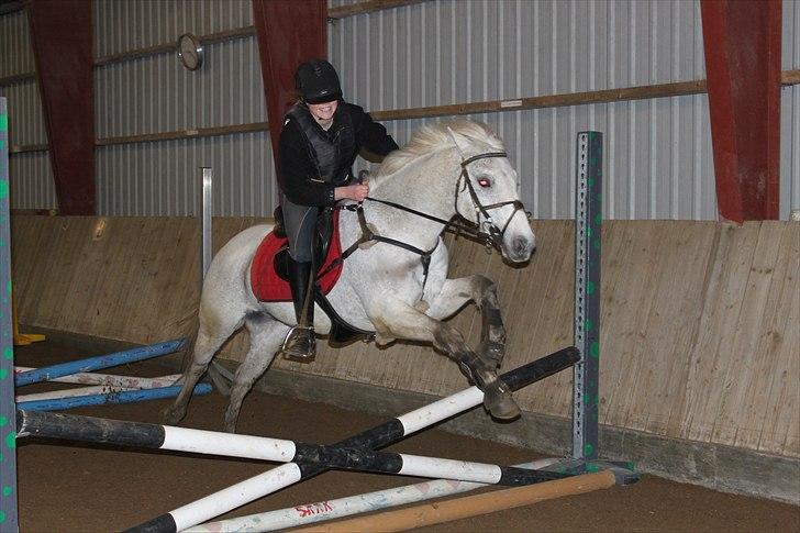 DSP Dundee:. <3 - fuld fart frem af billede  billede 3