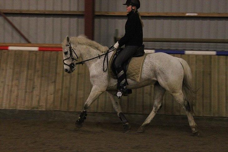 DSP Dundee:. <3 - i flot holdning billede 7