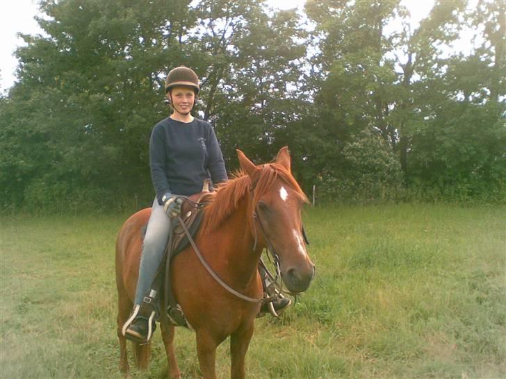 Anden særlig race Peter Pan (HIMMEL HEST) - 07072009 billede 10