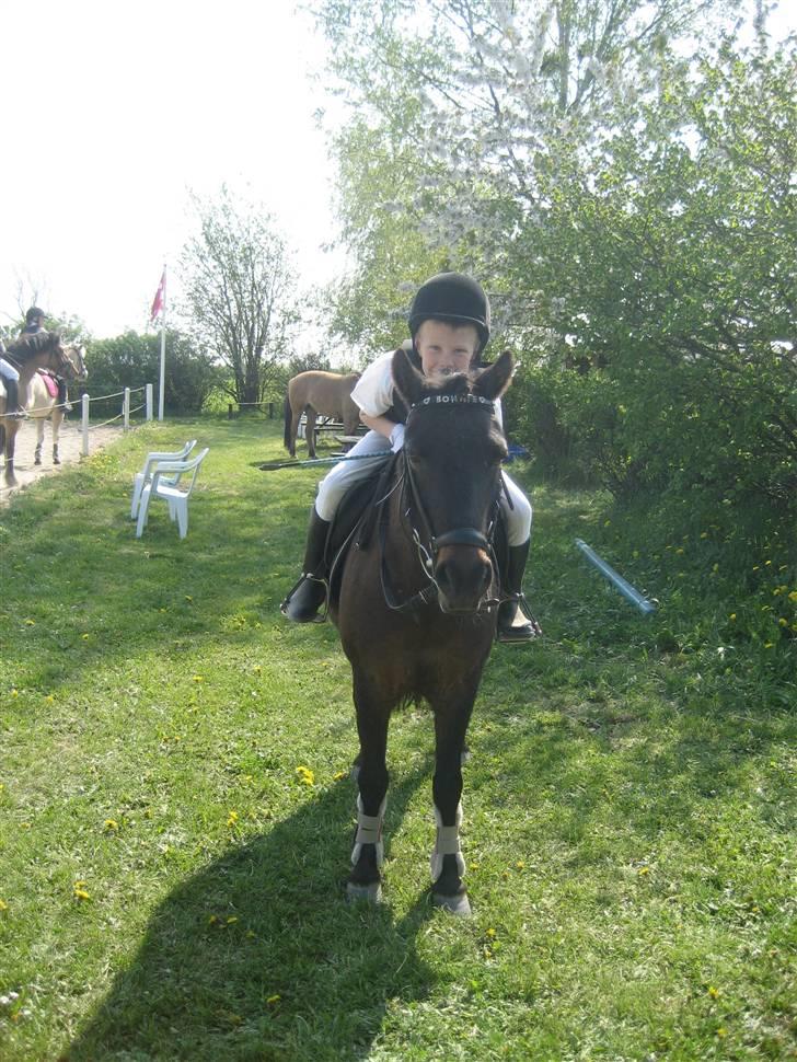 Pinto bonnie østerlund - hvor er vi søde. billede 7