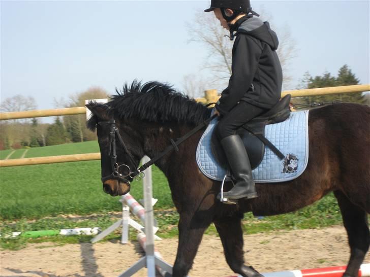 Pinto bonnie østerlund - ja vi kan også ride dressur. billede 12