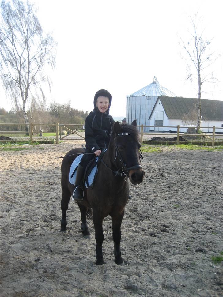 Pinto bonnie østerlund - ja. heeh  billede 14