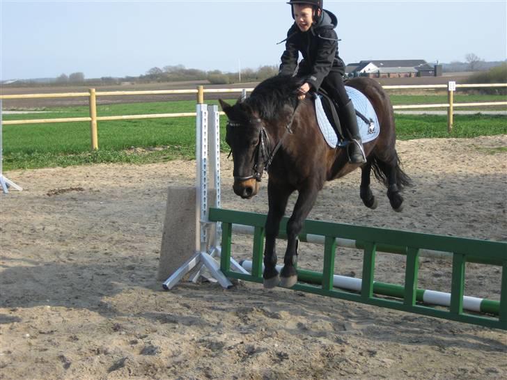 Pinto bonnie østerlund - her opvarmer vi til spring her hjemme. billede 15
