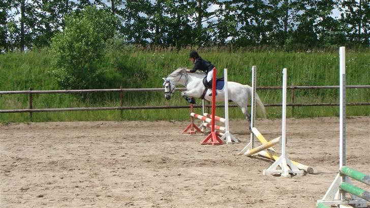 Connemara cantali *SOLGT:'( * - opvarmning i KOOR...............<3 billede 9