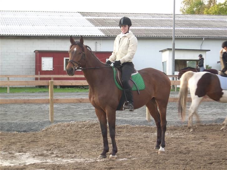 Anden særlig race Don Juan "Gammel part" billede 11