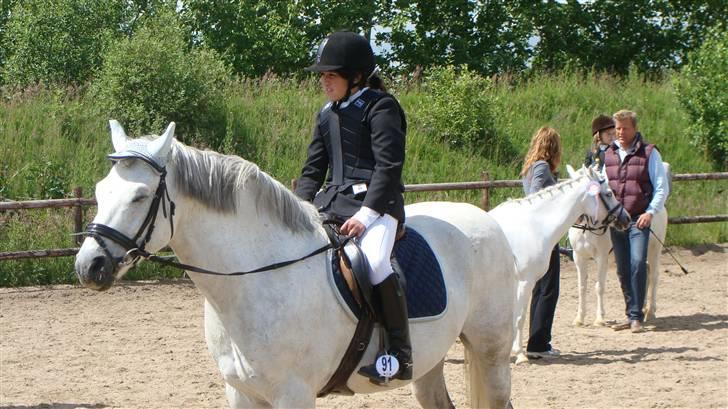 Connemara cantali *SOLGT:'( * - vi holder lige en kigge pause billede 11