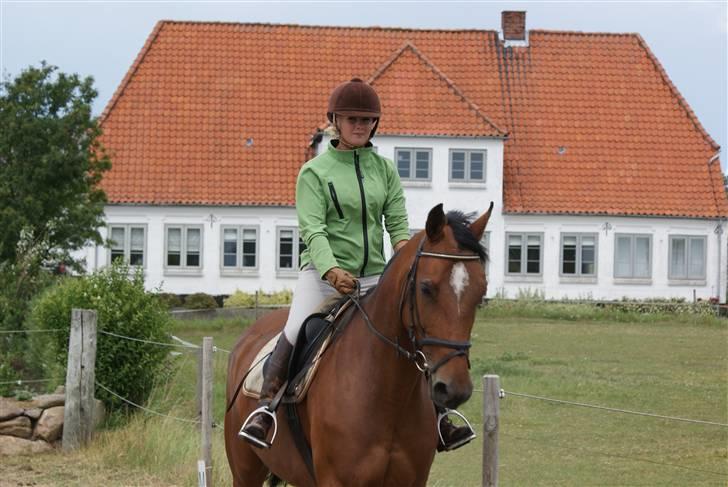 Anden særlig race Chayenne billede 3