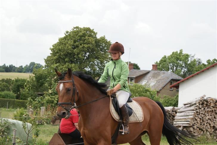 Anden særlig race Chayenne billede 5