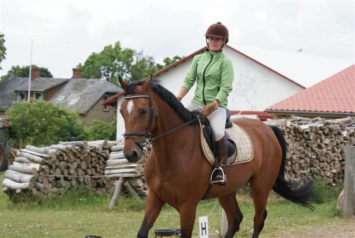 Anden særlig race Chayenne billede 7