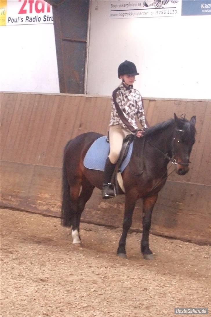 Anden særlig race Kompis  * gammel part* - nr.9 billede 9