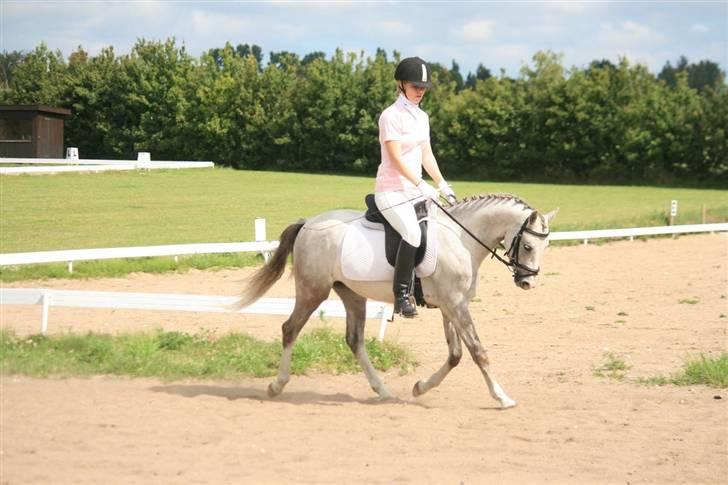 Anden særlig race Roxy by PM *solgt* - Roxy var for sjov til Ryttertræf i NVR, så fik jeg alligvel lov til at starte på min pony og vandt billede 2