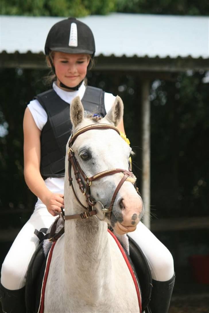 Anden særlig race Roxy by PM *solgt* - Roxy og Katrine. Katrine underviser jeg 2 gange om ugen og hun er fornyligt begyndt at ride Roxy billede 10