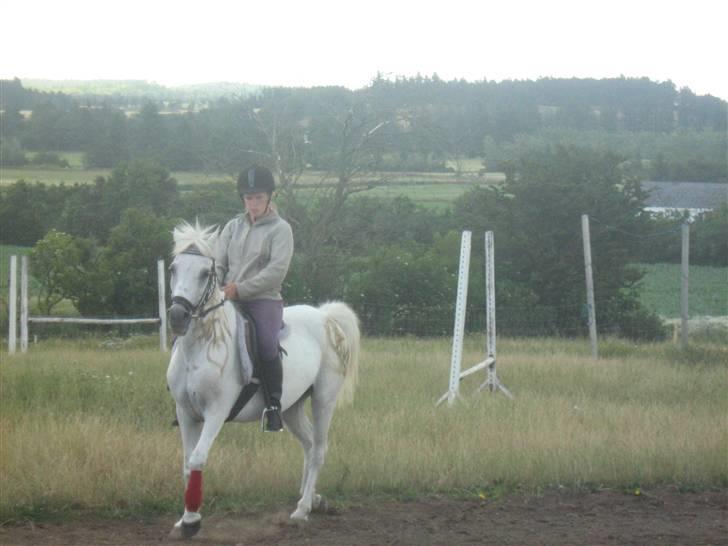 Anden særlig race Fraja<3 R.I.P:'( - dressurponyen over dem alle<33;D 18 år billede 16