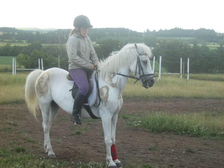 Anden særlig race Fraja<3 R.I.P:'( - god parade<3:) 18 år billede 17