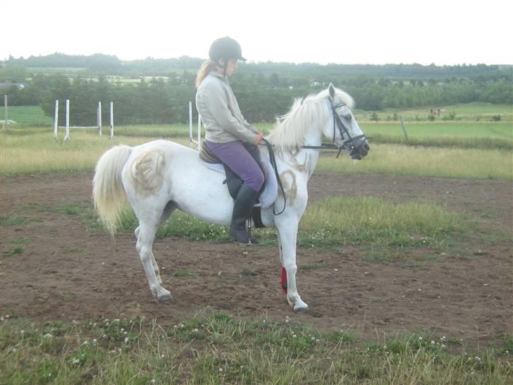 Anden særlig race Fraja<3 R.I.P:'( - perfekt<33;) 18 år billede 18