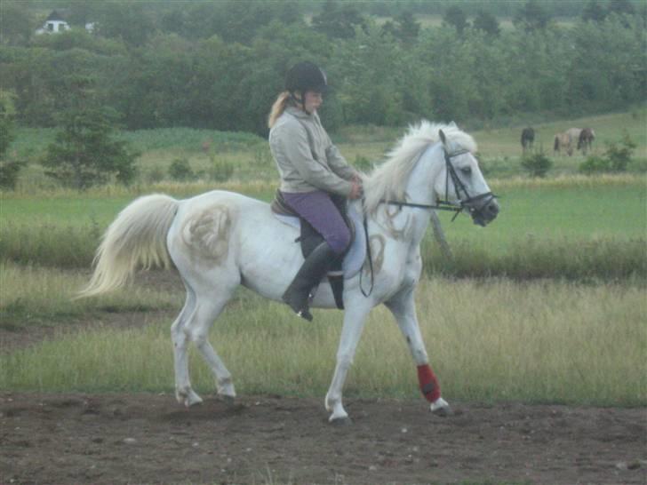 Anden særlig race Fraja<3 R.I.P:'( - du er for dejlig skat<33 18 år billede 19