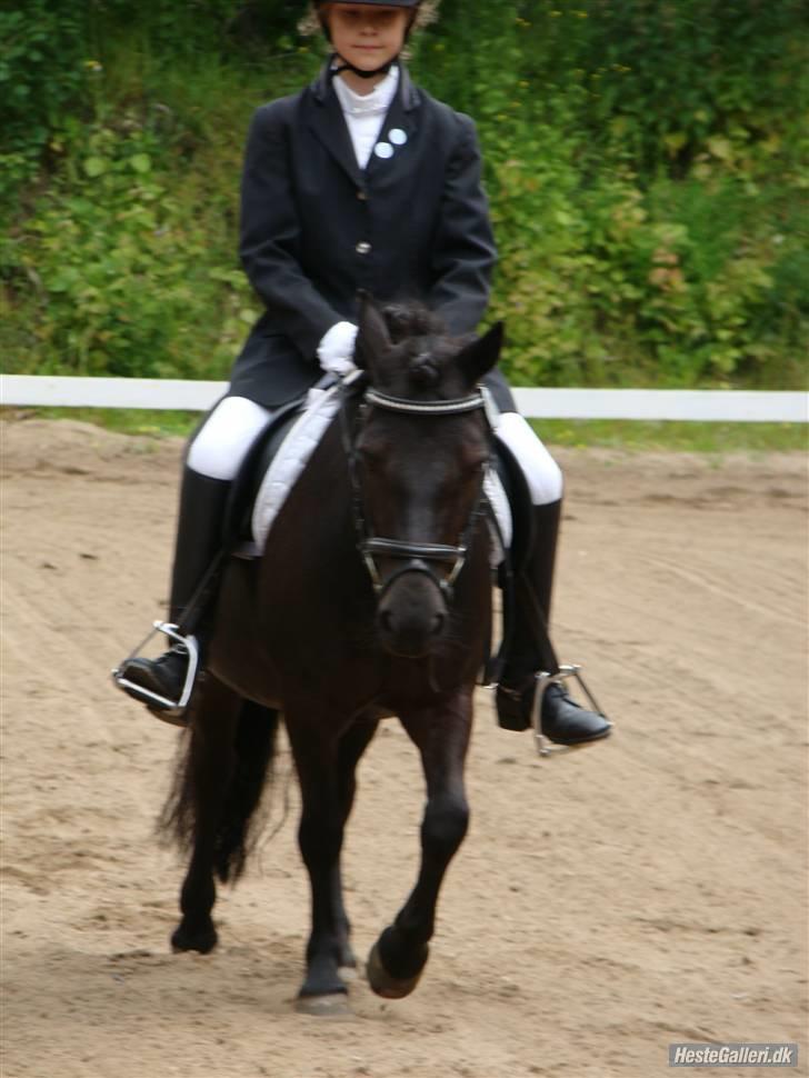 Anden særlig race Tøsen<3  - mig og tykke er bare for gode<33 billede 8