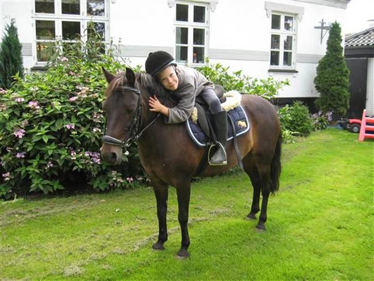 Pinto bonnie østerlund - her er bonnie med sommer pels billede 16